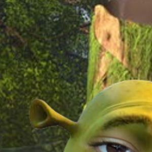 Meet your Posher, Aunikka